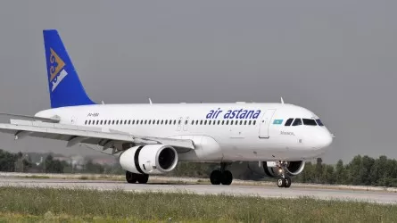 Air Astana из-за птицы задержала вылет самолета
