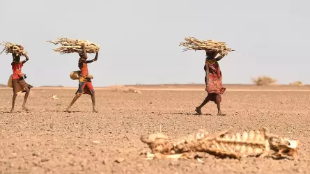 Миллионам жителей Африканского рога угрожает засуха