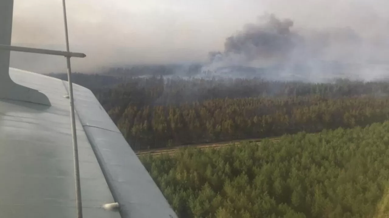 Два лесных массива горят на севере Казахстана