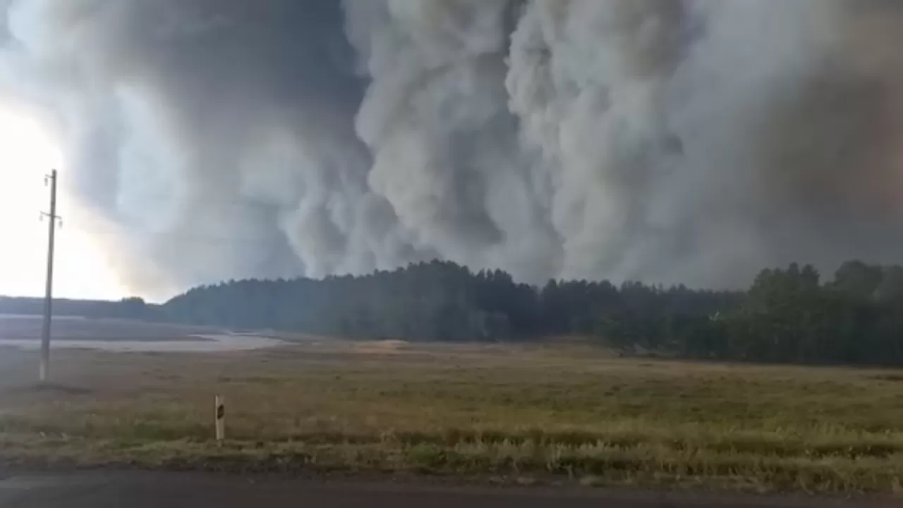 Более 500 эвакуированных человек из мест лесных пожаров размещают в школах