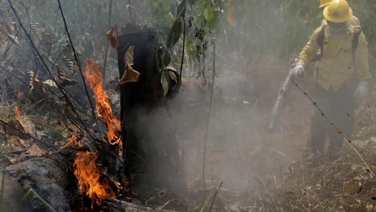 Пожары в Боливии уничтожили 172 536 гектаров леса 