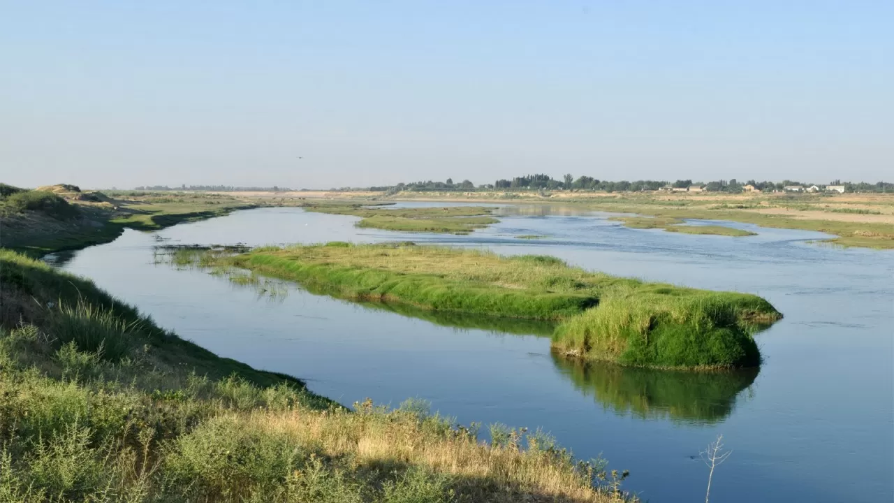 Река Сырдарья – источник живой воды или сточная труба?