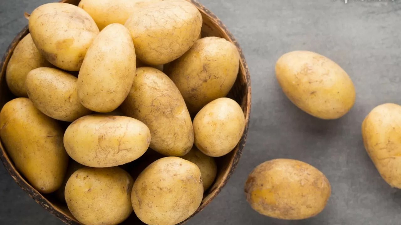 В Казахстане импорт картофеля впервые за последние годы превысил экспорт 