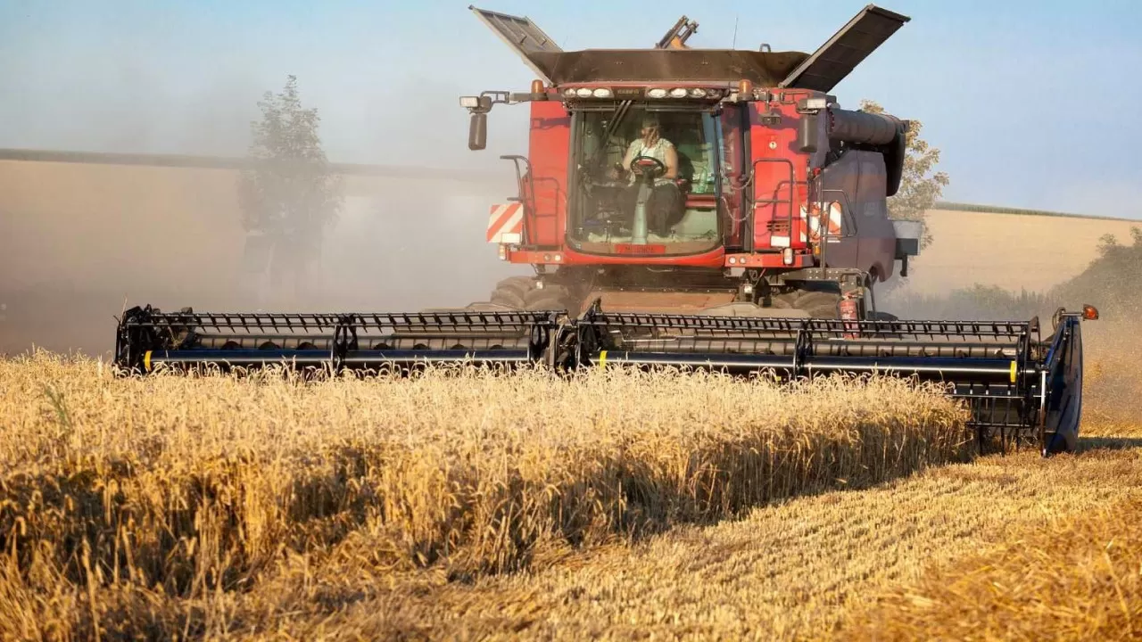 На 85% завершена уборка зерновых в Павлодарской области