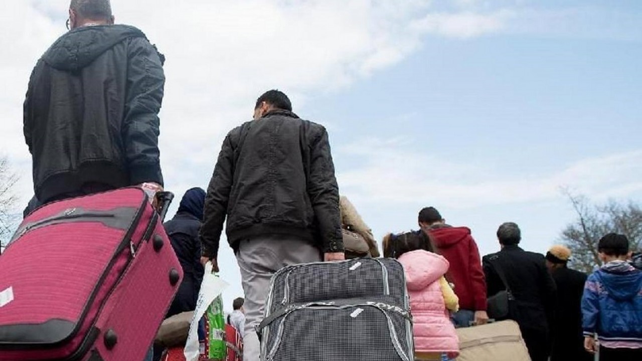 Әуесқойларға арналған порно видеолар және тек қатты порно ғана емес Сент-Бернард порно