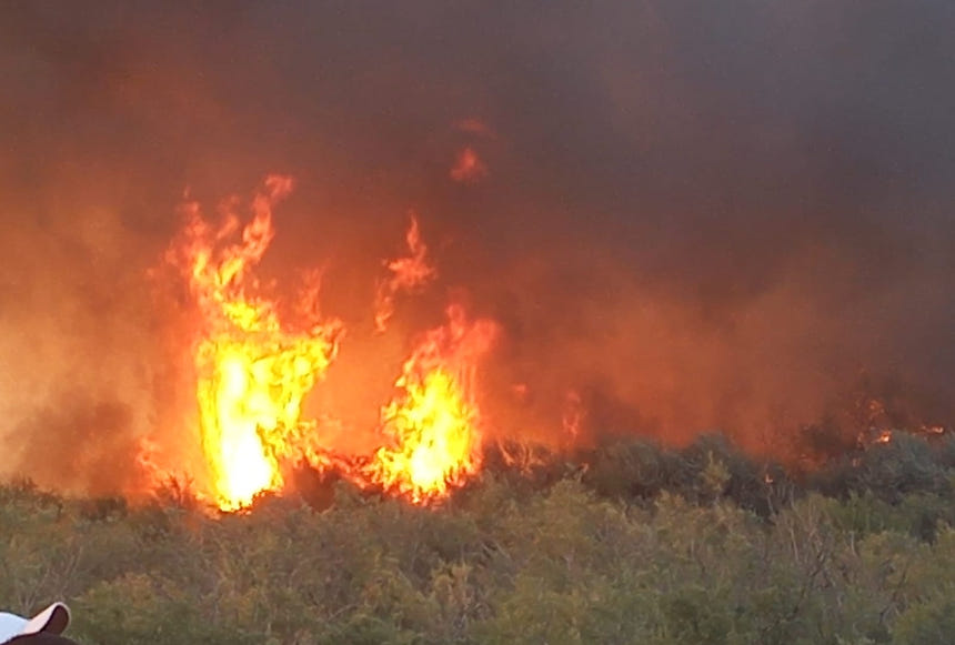 Лесные пожары в Костанайской области не отразятся на продбезопасности страны – МСХ