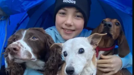 Ради помощи бездомным собакам подросток проспал в палатке больше года