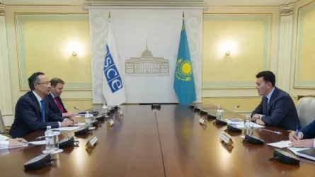 В ОБСЕ отметили ценный опыт Казахстана в укреплении единства