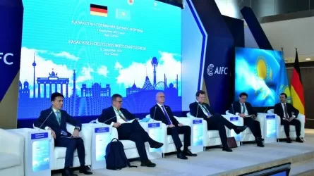 Казахстан имеет большой потенциал во многих важных сферах экономики для Германии - Шнихельс
