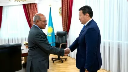 Премьер-министр РК и глава Высшего совета по реформам обсудили, как обеспечить Казахстану экономический рост