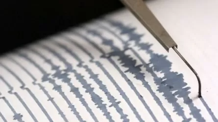 Землетрясение произошло в 313 км от Алматы