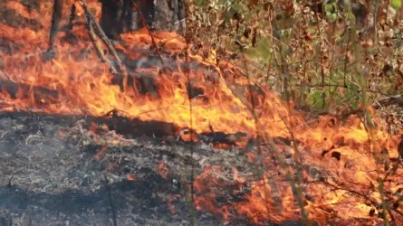 Қарағанды облысындағы табиғи өрттің беті қайтты