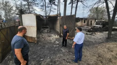 В НПП "Атамекен" назвали предварительный размер ущерба от пожаров в Костанайской области