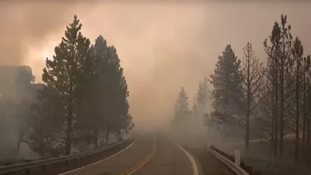 В Калифорнии на фоне экстремальной погоды вспыхнули лесные пожары