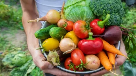 В Актау стабилизировались цены на сезонные овощи 