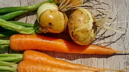 Морковь, сахар и лук подешевели в Казахстане