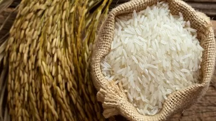Почему быстро закончился рис на кызылординской ярмарке в Нур-Султане  