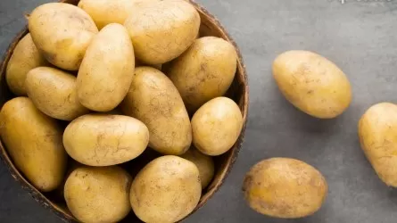 В Казахстане импорт картофеля впервые за последние годы превысил экспорт 