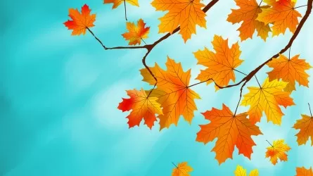 Погода на вторник: синоптики обещают "золотую осень"