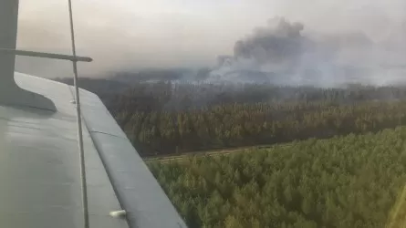 МЧС назвало основные версии причин пожара в Костанайской области  