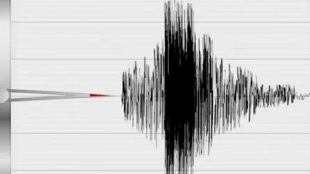 Второе за день землетрясение зафиксировали сейсмологи Алматы