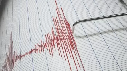 Землетрясение произошло в 348 км от Алматы