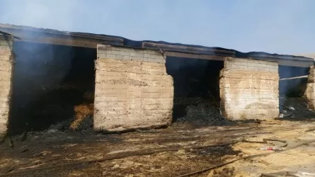 Около 90 тонн сена с двух ферм сгорели в Туркестанской области
