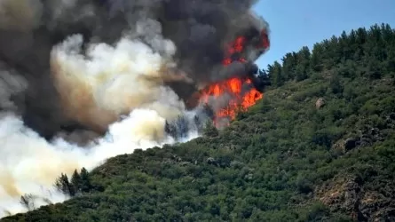 Крупный пожар вспыхнул близ турецкого курорта Мармарис