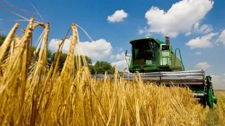 Инвестиции в аграрный сектор Павлодарской области вырос на 10%  