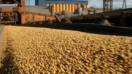Депутаты требуют договориться с Ираном о поставках пшеницы и зерна по сниженным таможенным пошлинам