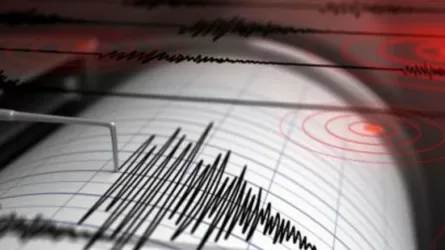 Землетрясение произошло в 718 км на юго-запад от Алматы 