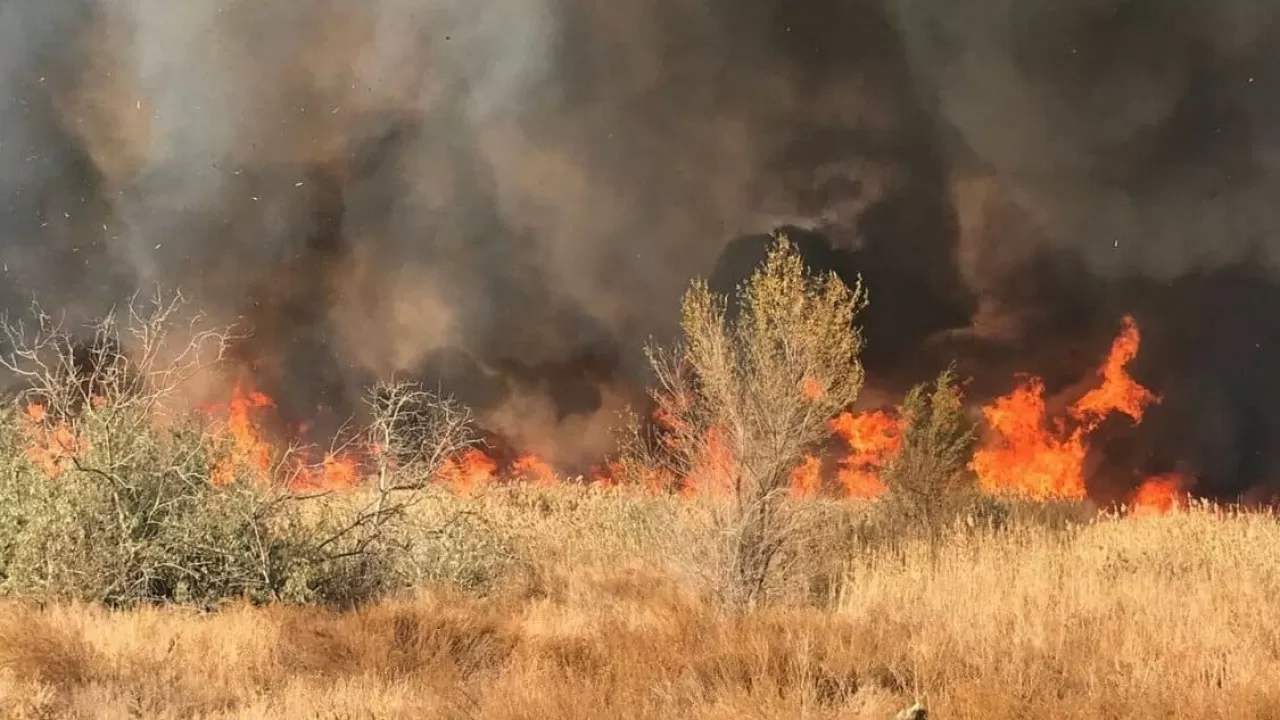 2022 год может стать еще одним годом больших пожаров в Казахстане 