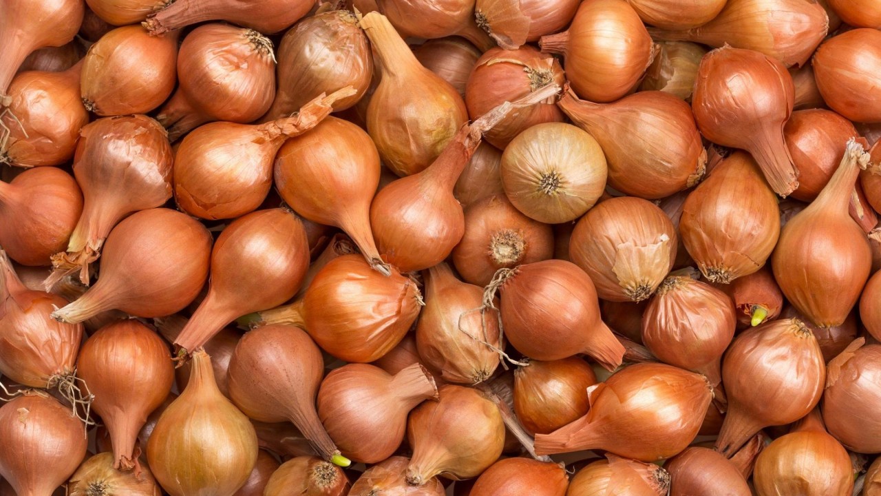 Әдемі әйелдің жопы порно