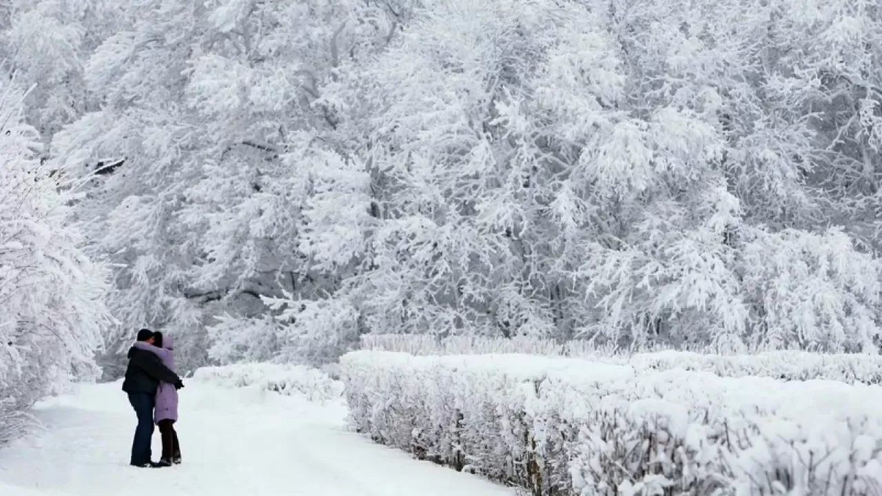 Снег пройдет 24 января в некоторых областях Казахстана