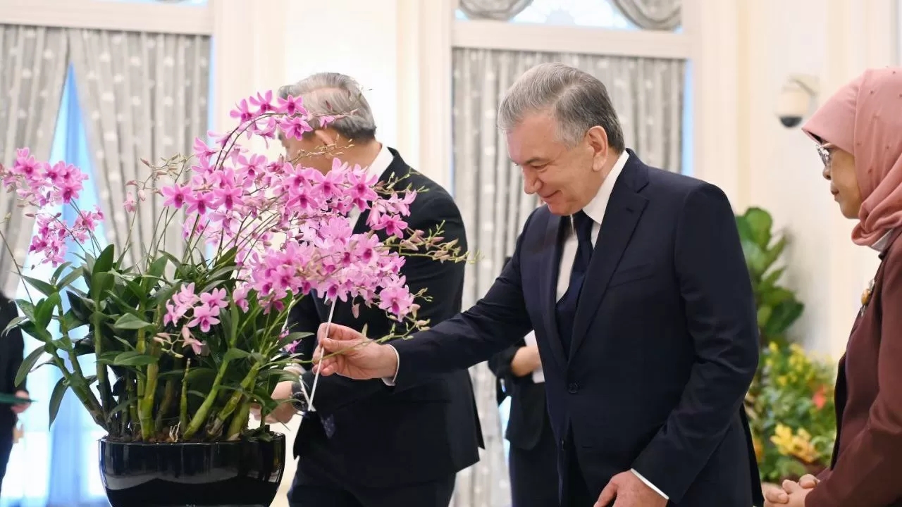 Орхидея Мирзиёева – новый сорт цветка назвали в честь президента Узбекистана