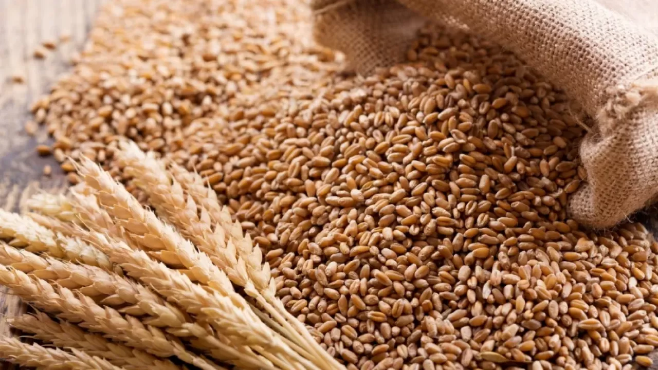 Россия собирается снизить экспортную пошлину на пшеницу