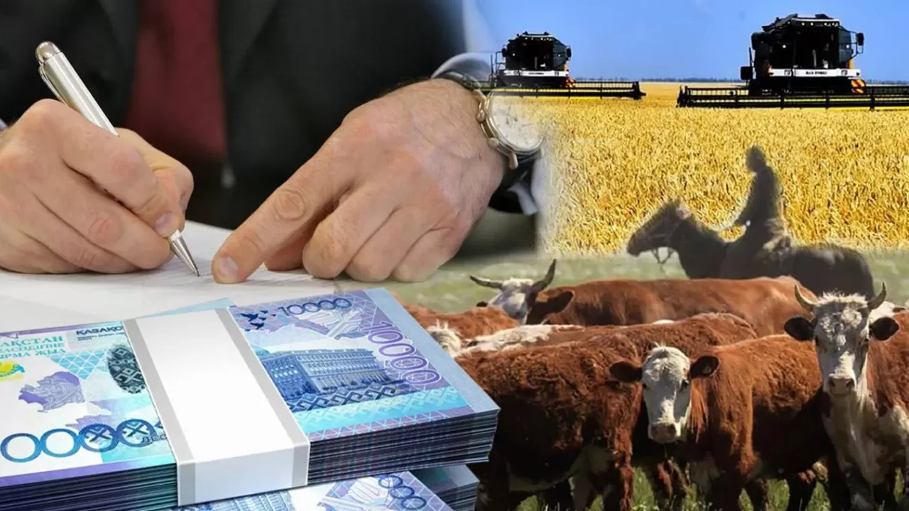 Павлодарского фермера сделали крайним в истории с субсидиями