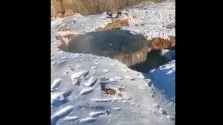 Канализационные воды в Уральске образовали зловонное озеро