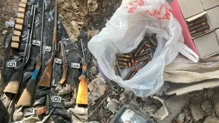 Автоматы, ружья, пистолеты и 900 патронов обнаружили жамбылские полицейские