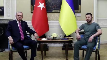 Эрдоган и Зеленский обсудили "зерновой коридор"