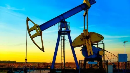 В США приняли законопроект о запрете использования стратегических запасов нефти