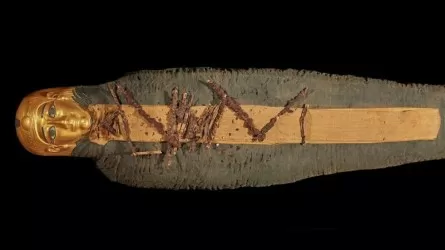Золотое сердце и … язык обнаружили ученые у 2300-летней мумии мальчика