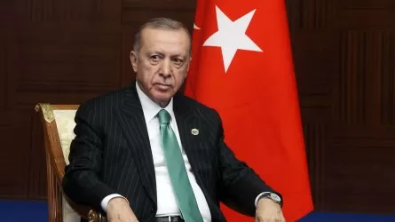 Эрдоган планирует поговорить с Путиным и Зеленским