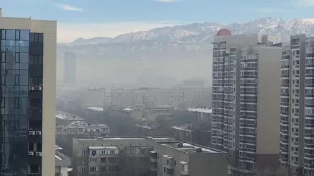 Каким воздухом дышит акимат Алматы