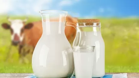 Объемы надоенного молока в РК выросли до 6,3 млн тонн