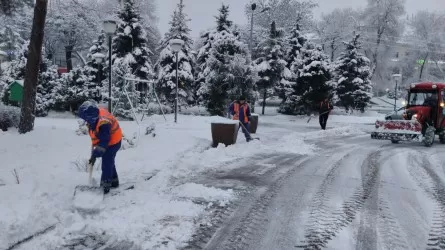 В горах Алматы выпало до 60 см снега