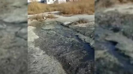 Жителей Актау напугал сброс из канализации в Каспий