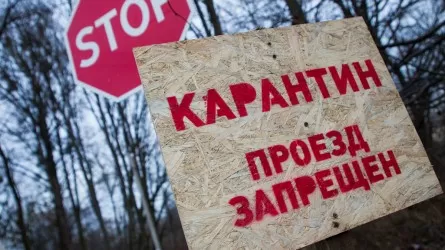 Почему объявили карантин в приграничном с Казахстаном российском регионе 