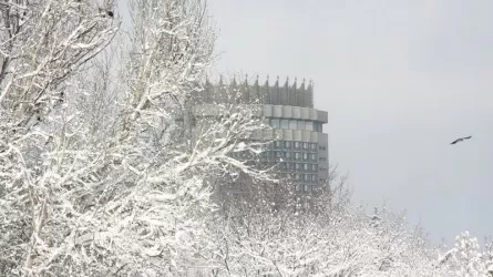 Сильный снегопад ожидается в Алматы