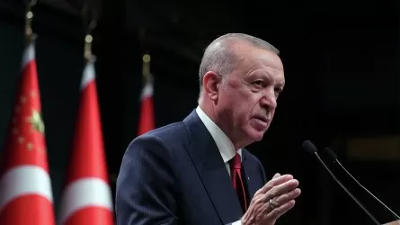 Почему Эрдоган отказался поддержать заявку Швеции на вступление в НАТО  